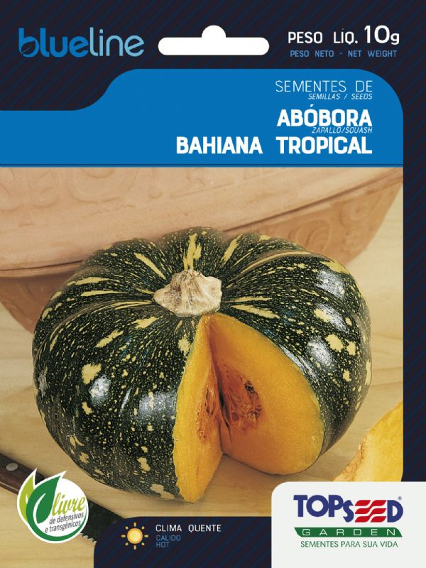 Abóbora Bahiana Tropical