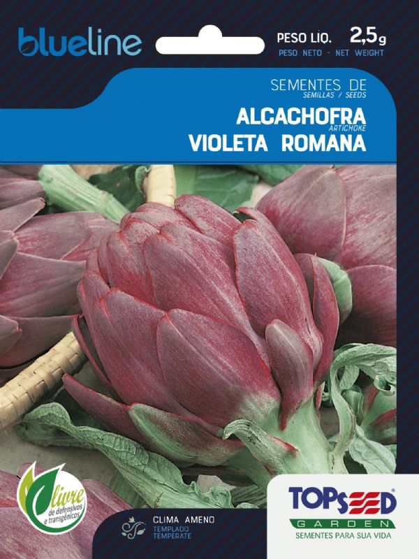 Alcachofra Violeta Romana