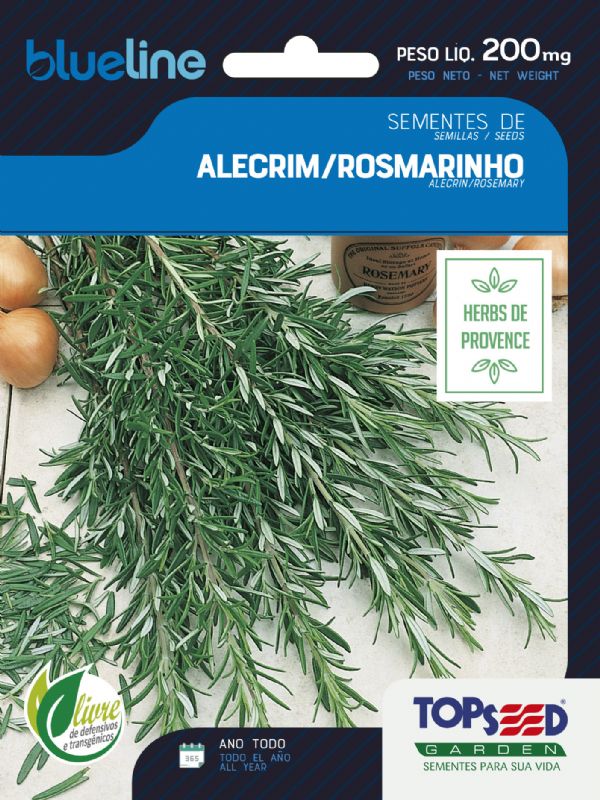 Alecrim / Rosmarinho