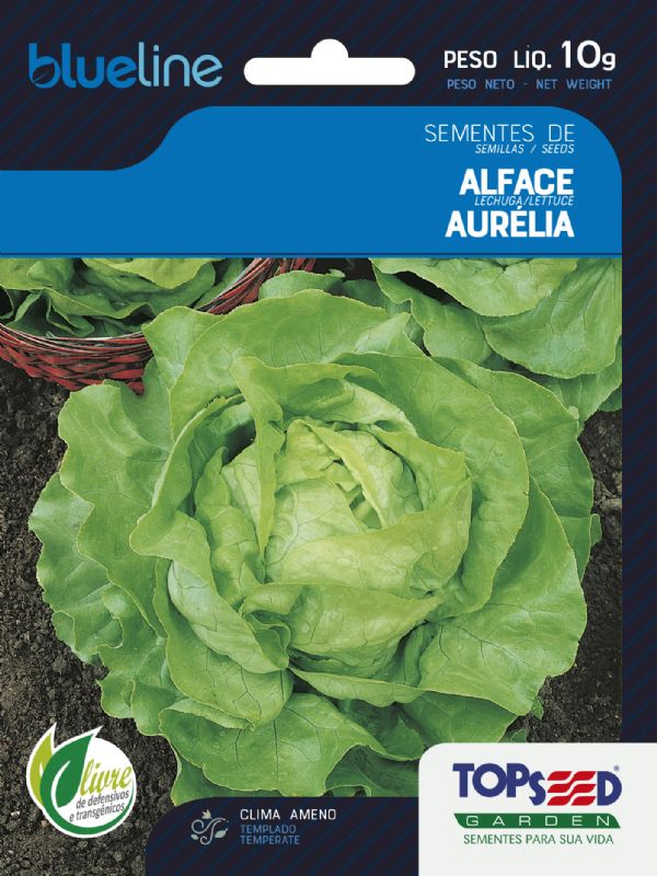 Alface Aurélia (Manteiga)