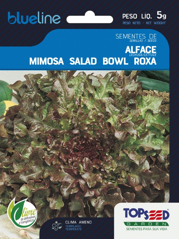 Alface Mimosa Salad Bowl Roxa