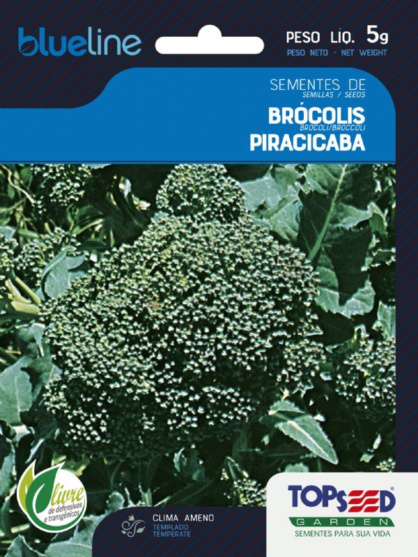 Brócolis Piracicaba