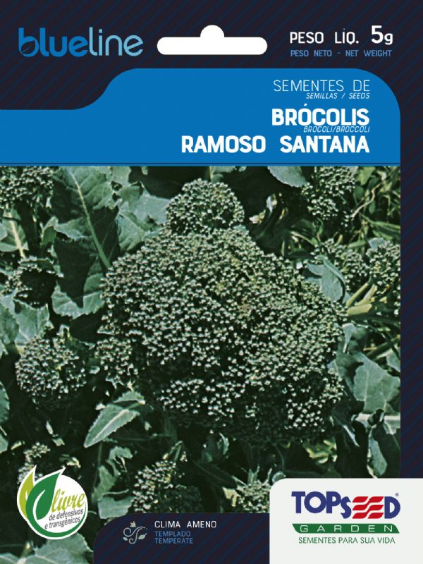 Brócolis Ramoso Santana