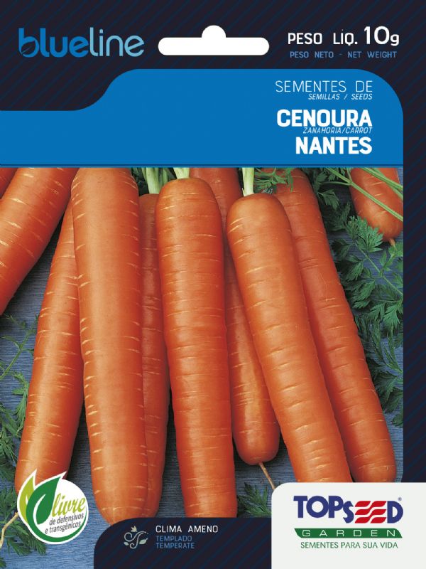 Cenoura Nantes
