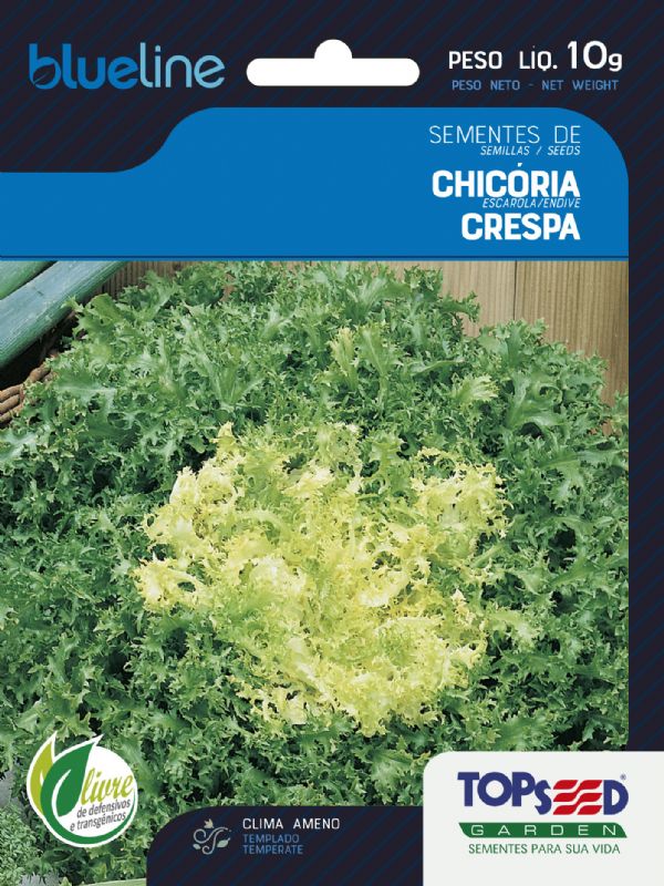 Chicória Crespa