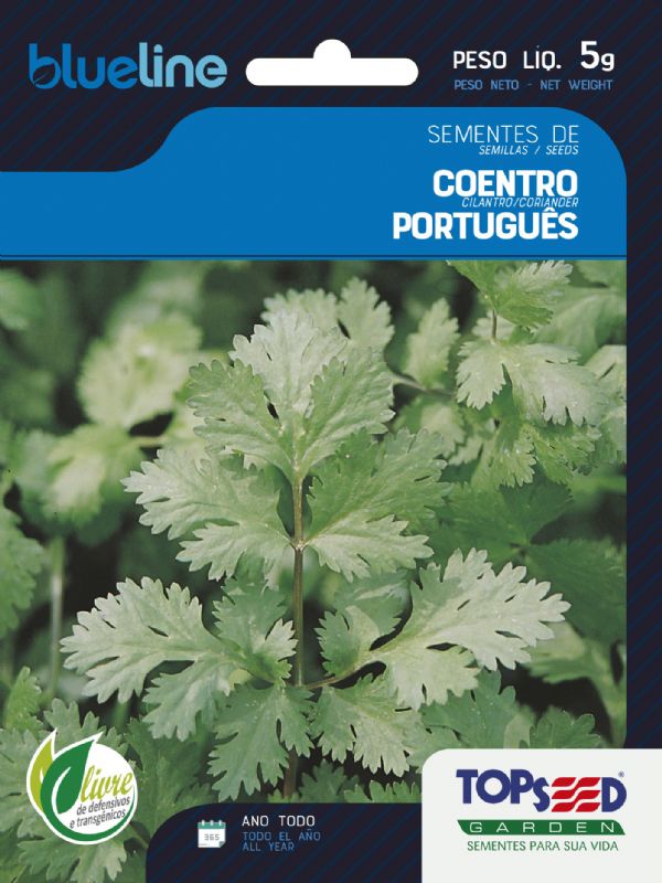 Coentro Português