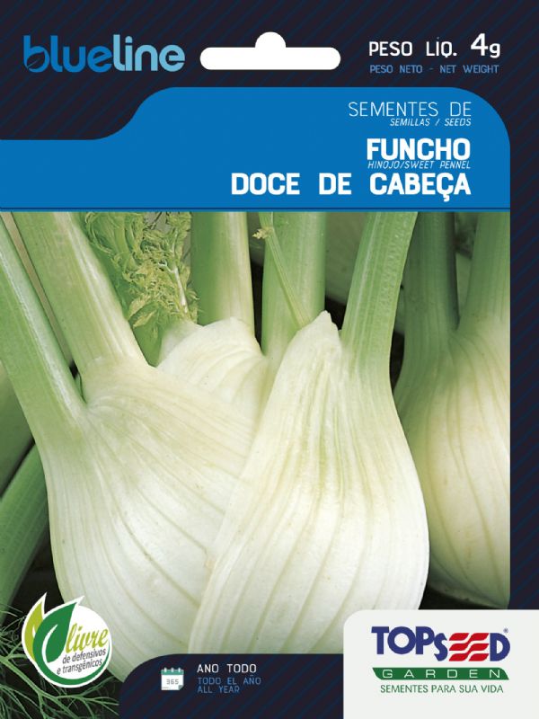 Funcho / Erva-Doce de Cabeça