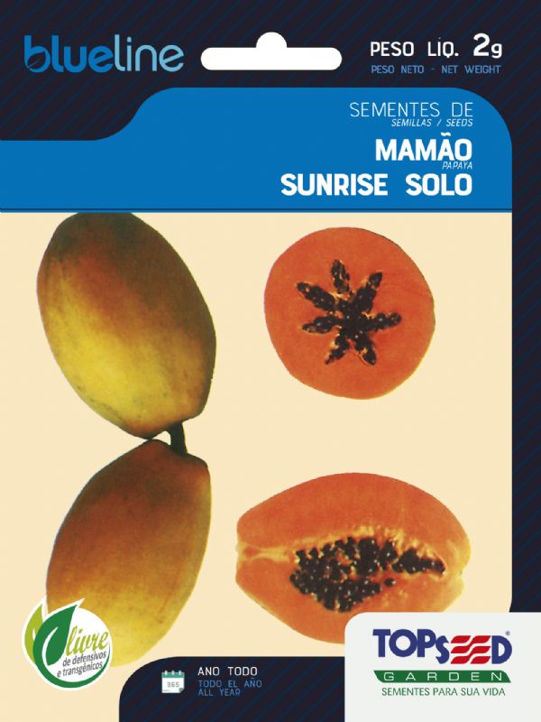 Mamão Sunrise Solo