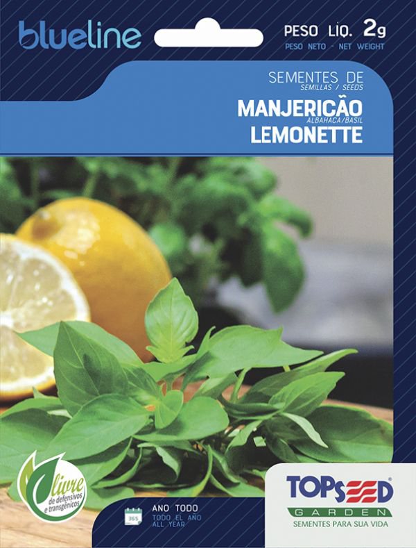 Manjericão Lemonette