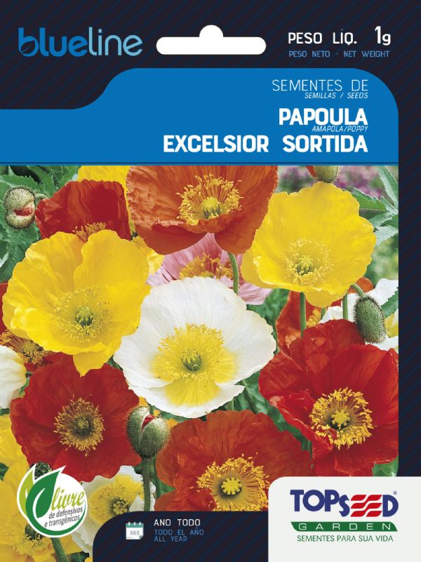 Papoula Excelsior Sortida