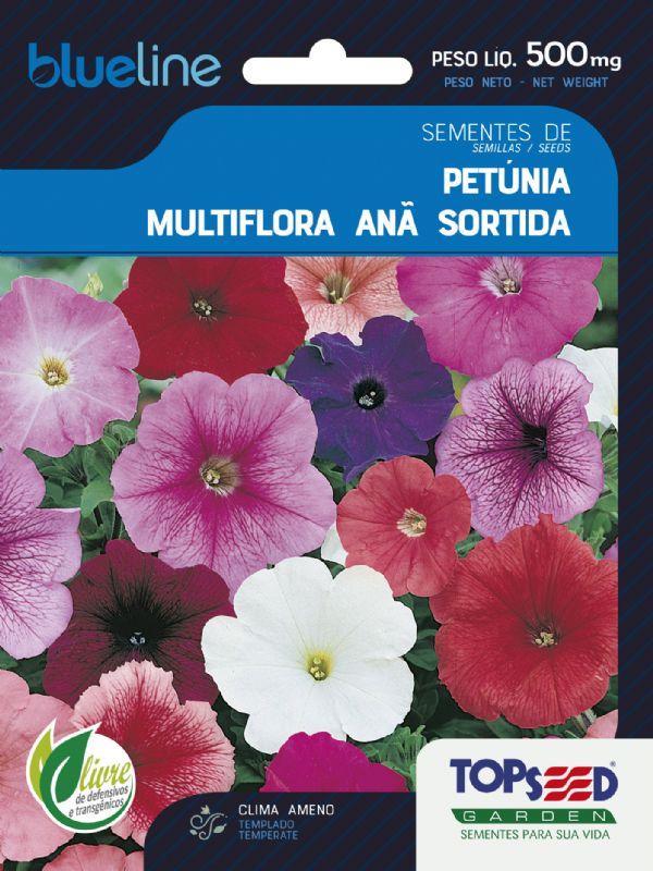 Petúnia Multiflora Anã Sortida