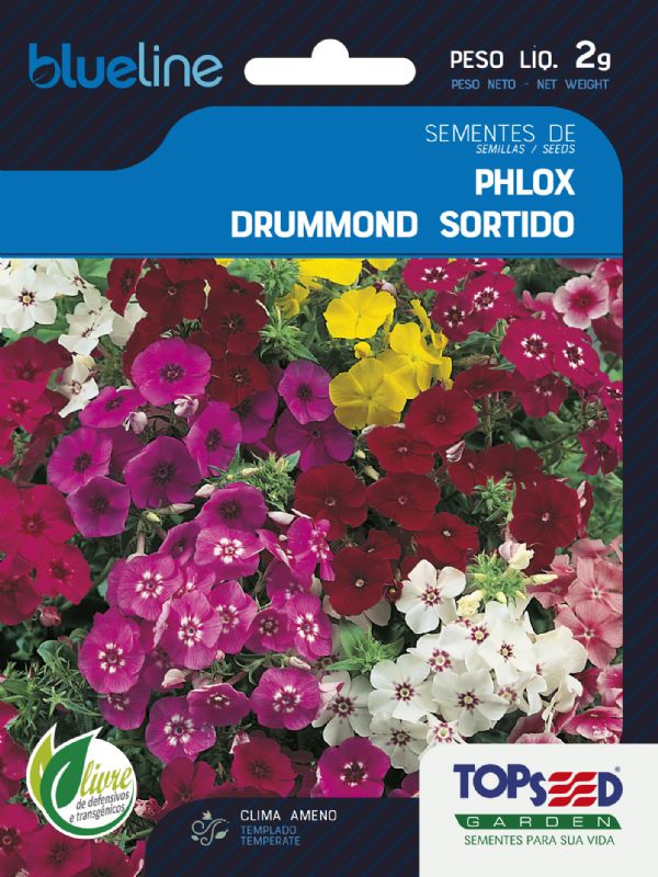 Phlox Drummond Sortido