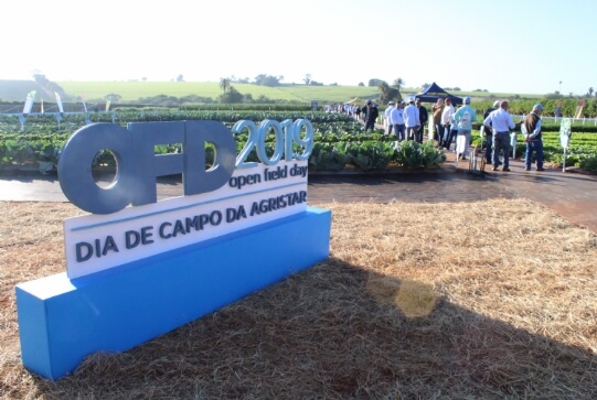 Dia de Campo da Agristar é referência para horticultores de todo o Brasil