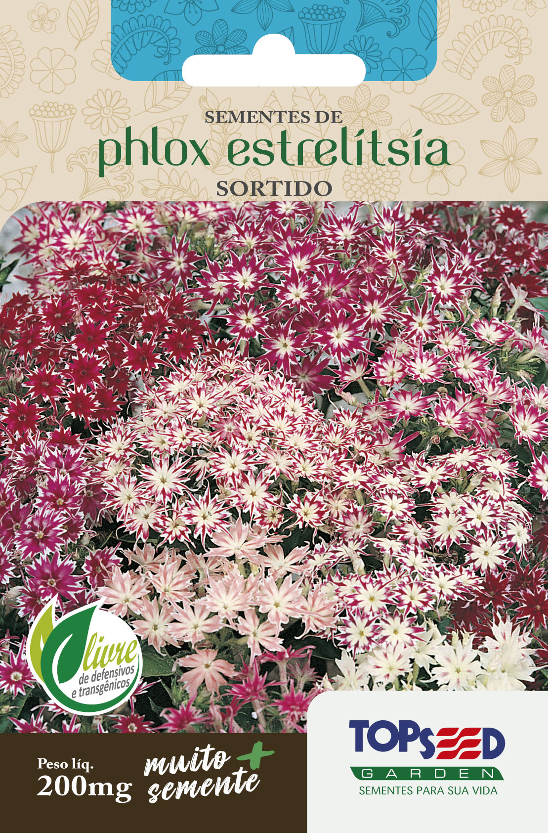 Phlox Estrelitsia Sortida