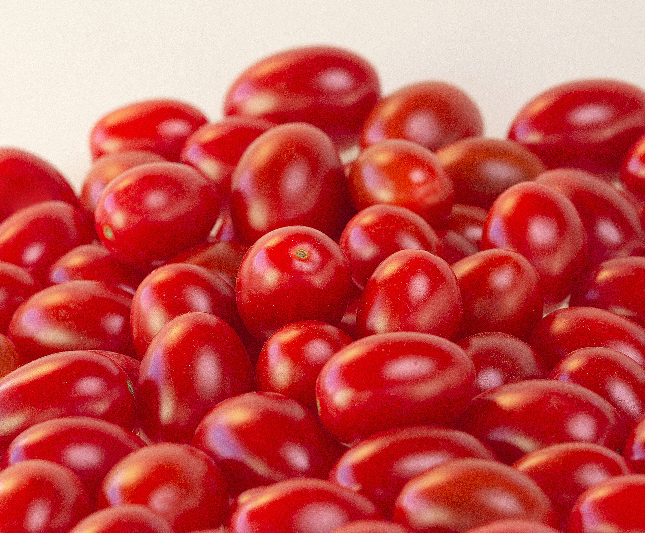 Tomate Cocktail H&iacute;brido H 12 F1