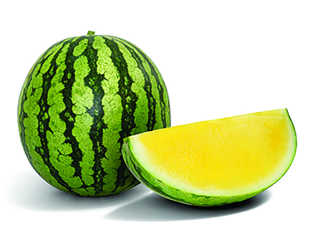 Melancia Sem Sementes H&iacute;brida Sun F1