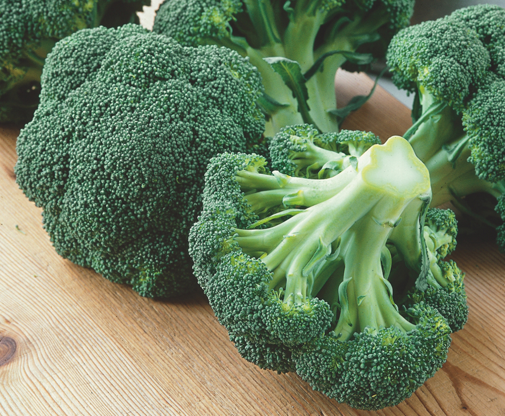 Br&oacute;colis H&iacute;brido Lavon F1