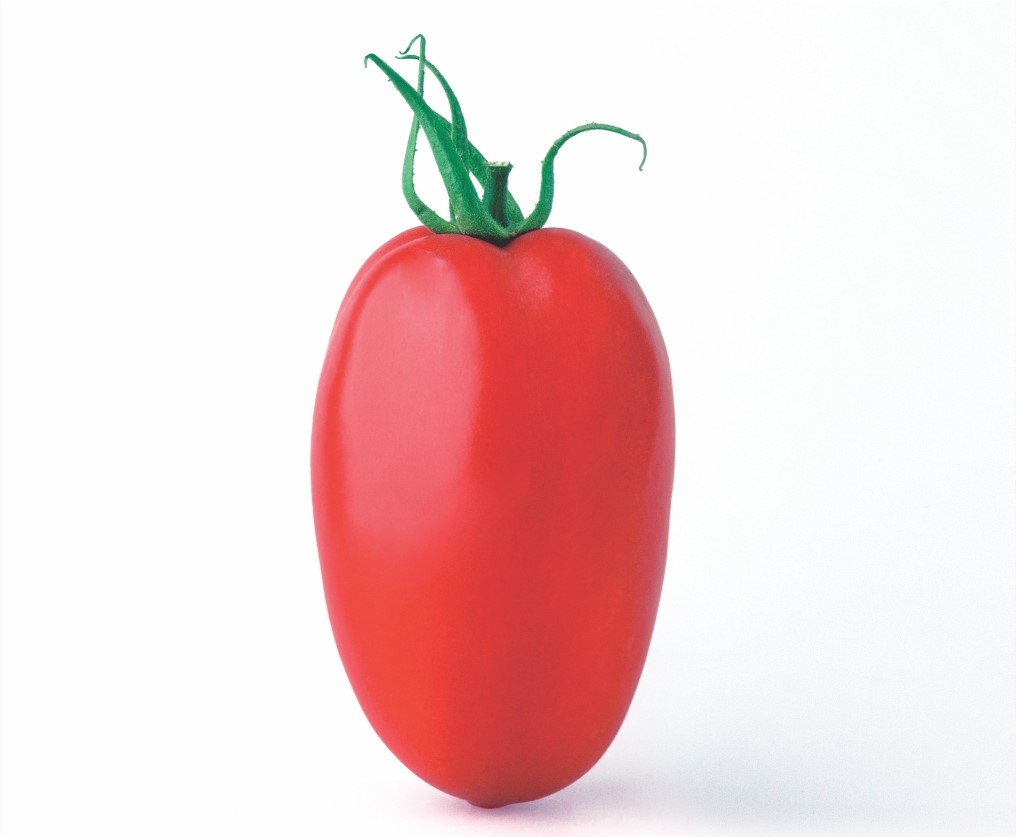 Tomate Saladette (Ind) H&iacute;brido Venetto F1