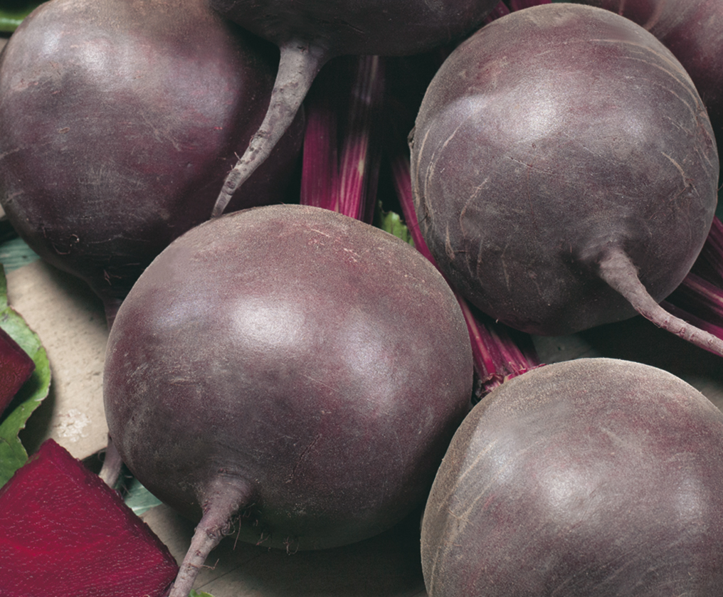 Beterraba H&iacute;brida Triton F1