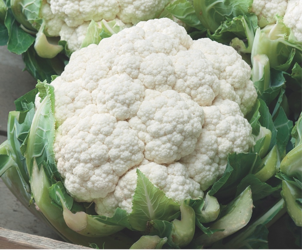 Couve-Flor de Inverno H&iacute;brida Paige F1